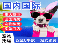 盐城航空货运国际宠物托运 【国